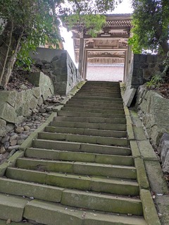 PXL_20260330_052445844