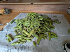 PXL_20250529_071710754