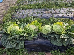 PXL_20230207_071300030