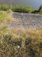 PXL_20260518_224204560