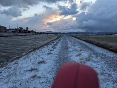 PXL_20240123_223207399