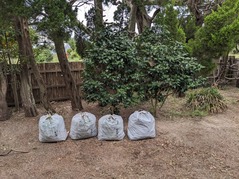 PXL_20230814_024107466