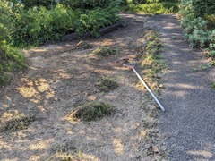 PXL_20240722_225813155