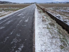 PXL_20240122_222216726 (1)