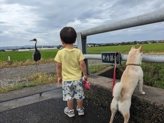 PXL_20240830_004623783