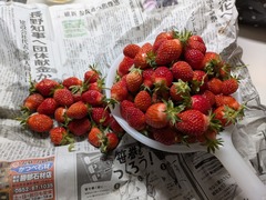 PXL_20250507_092553842