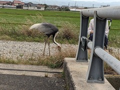 PXL_20240705_082647122