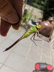 PXL_20220821_030540955