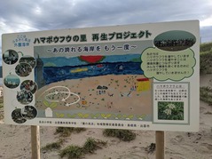 PXL_20210717_214559886