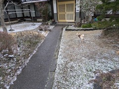 PXL_20250204_074629013
