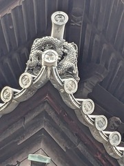 PXL_20241117_055428686