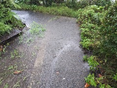 PXL_20230707_232814088.MP