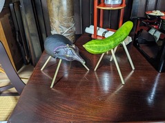 PXL_20240813_233548878