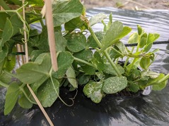 PXL_20220211_025059807