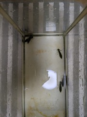 PXL_20250828_220303880