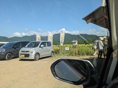 PXL_20240812_054532674