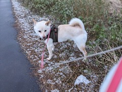 PXL_20231216_221822801