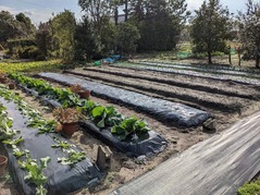 PXL_20211114_012922082