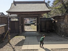 PXL_20230311_012518582.MP