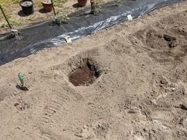 PXL_20210509_013012025