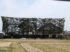 PXL_20230304_025838012