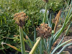 PXL_20250721_224915725