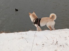 PXL_20250208_230422332