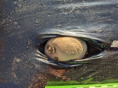 PXL_20230226_230759835