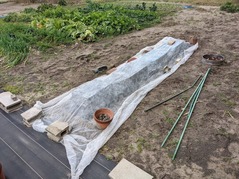 PXL_20211224_232008251