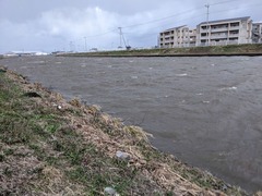 PXL_20231220_221904642