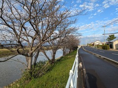 PXL_20260330_222453896