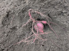 PXL_20250919_223925878