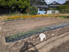 PXL_20251027_044827904