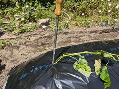 PXL_20240513_040417741