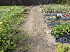 PXL_20210523_070641641