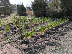 PXL_20250308_003024718