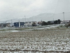 PXL_20231222_005147838