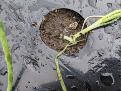 PXL_20231026_225735465