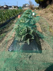 PXL_20250214_015912614