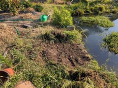 PXL_20250731_223001545