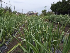 PXL_20230420_214746523