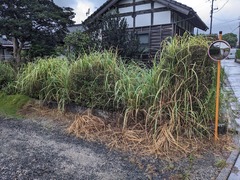 PXL_20241001_230137438