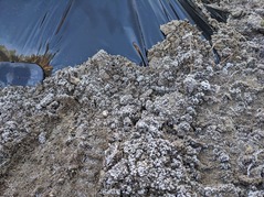 PXL_20230226_232413287