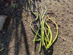 PXL_20250603_214953004