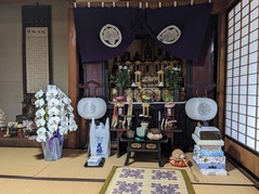 PXL_20230813_230829700