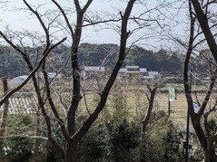 PXL_20230311_021729952.PORTRAIT