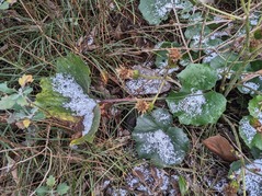 PXL_20221218_000814644