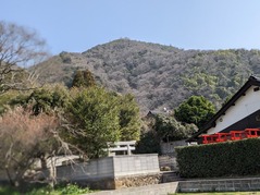 PXL_20230311_020323726.PORTRAIT