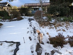 PXL_20250208_070259182