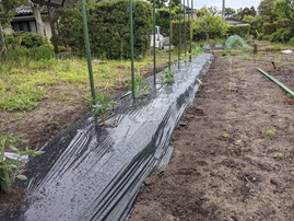 PXL_20210504_232656831